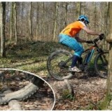 Der Reifen stülpt sich über den Ast. Reifen passt sich an