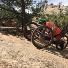 ReActive Hammerhead, Frosch-Position